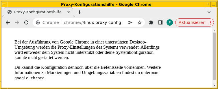 praxis/http-proxy/chromium-infomeldung.png